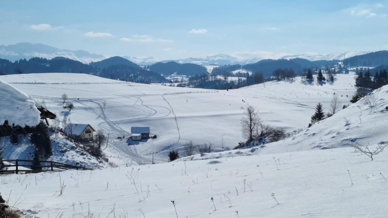 Pensiunea Crai Nou Sirnea Luaran gambar