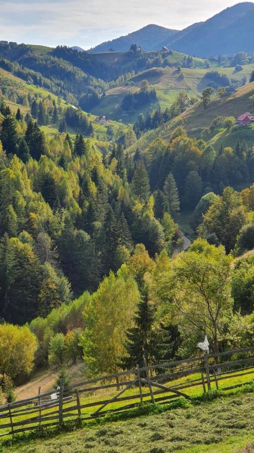 Pensiunea Crai Nou Sirnea Luaran gambar