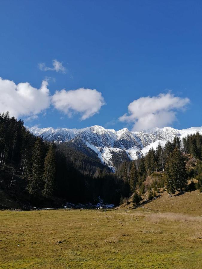 Pensiunea Crai Nou Sirnea Luaran gambar