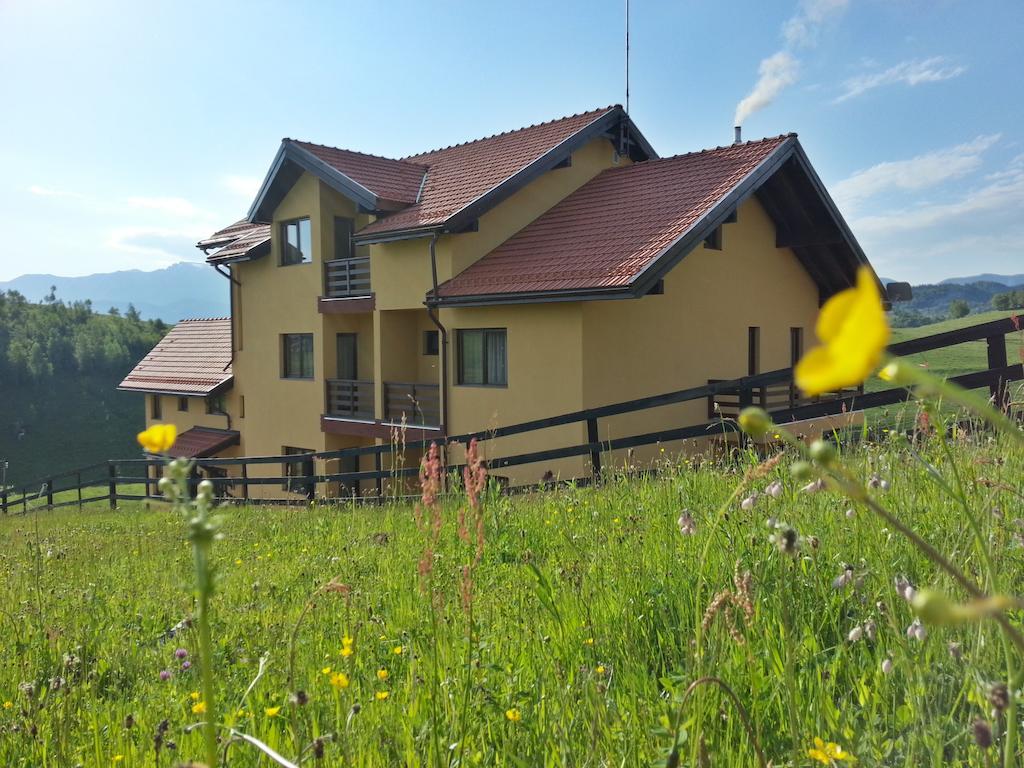 Pensiunea Crai Nou Sirnea Luaran gambar