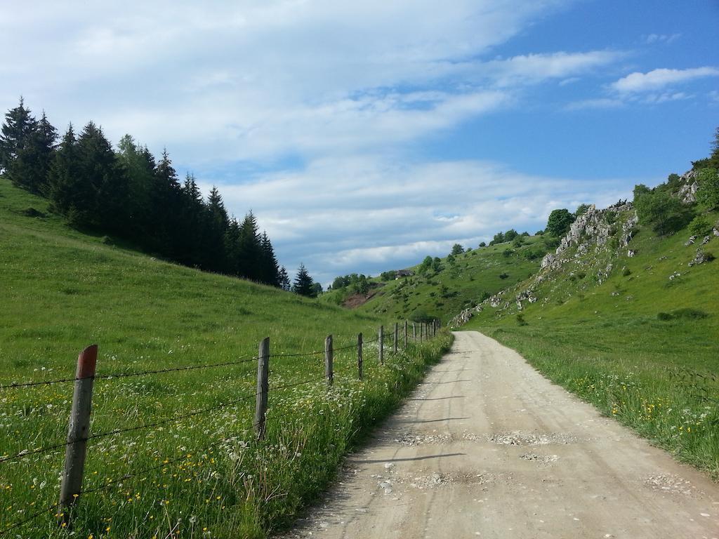 Pensiunea Crai Nou Sirnea Luaran gambar